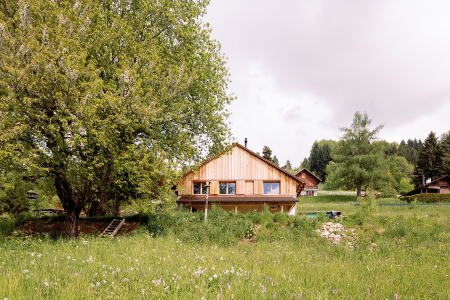 20250515-814_csimonetto_web.jpg