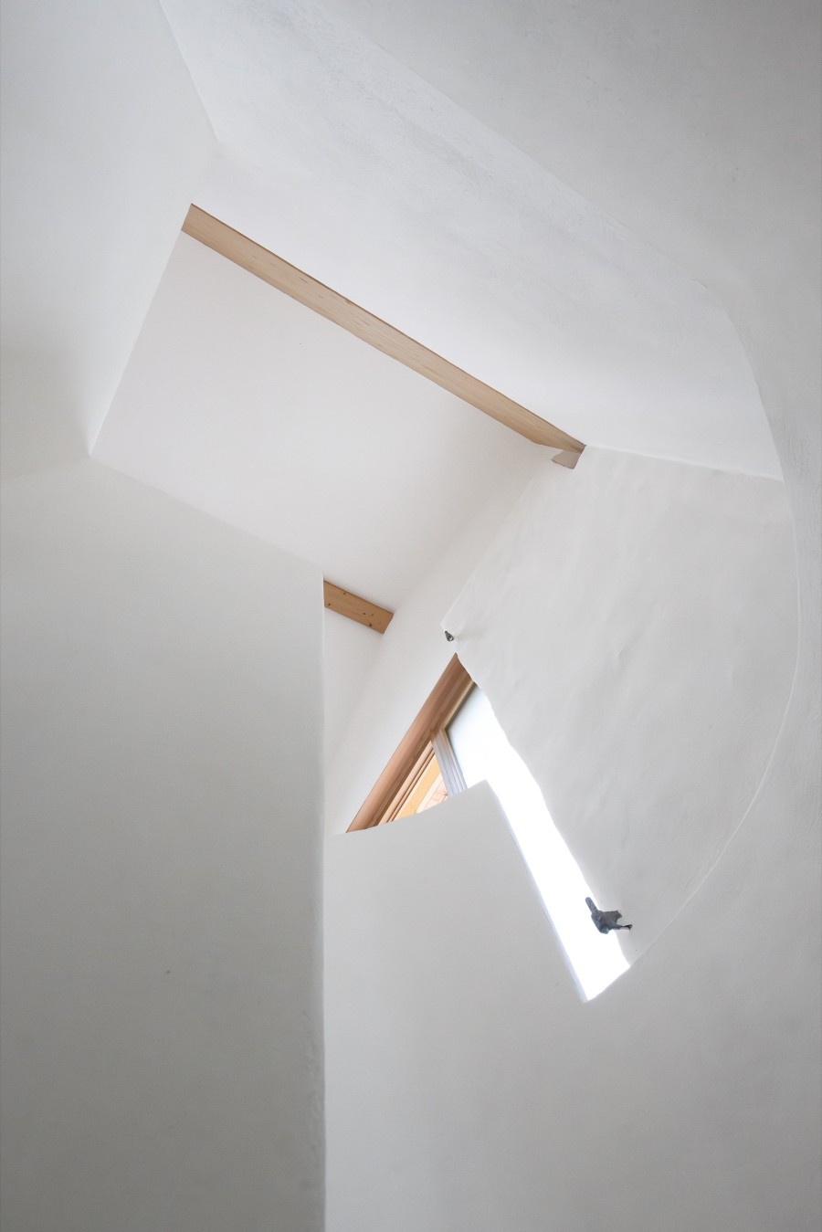 20240620-21_csimonetto_web.jpg