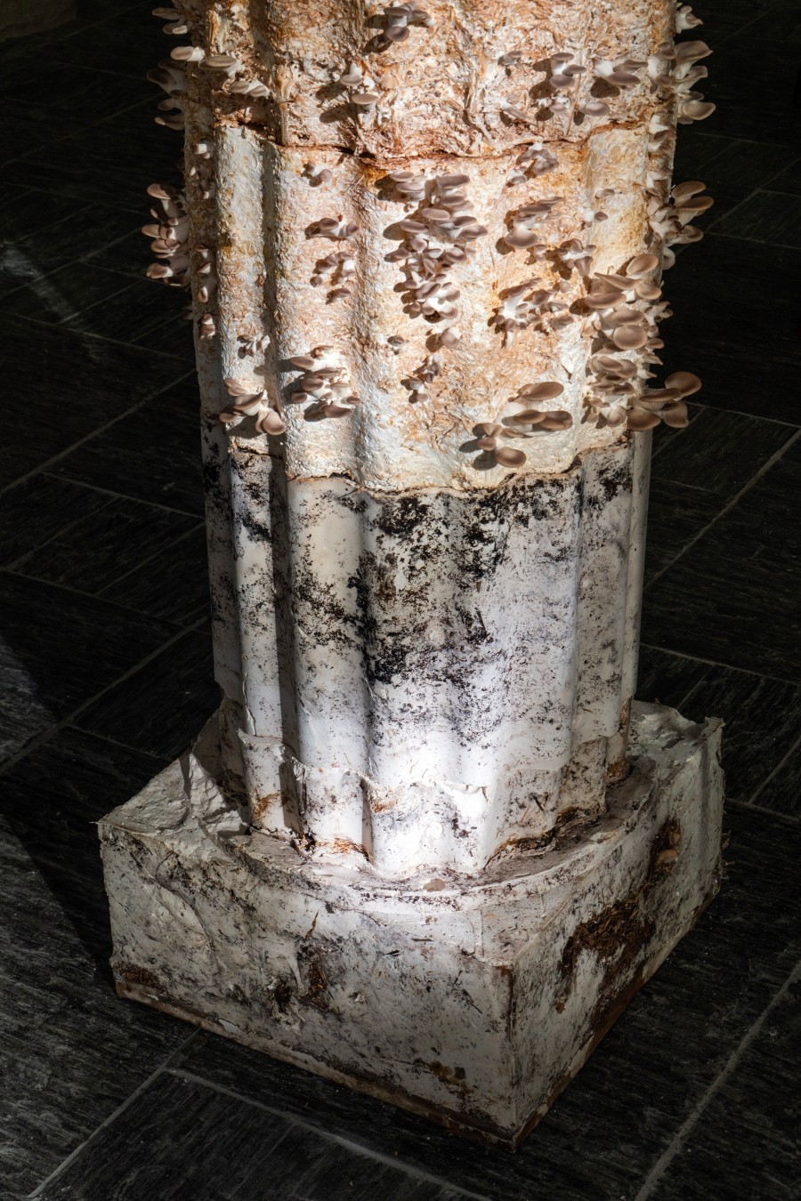 ruined-nyon-02_low.jpg
