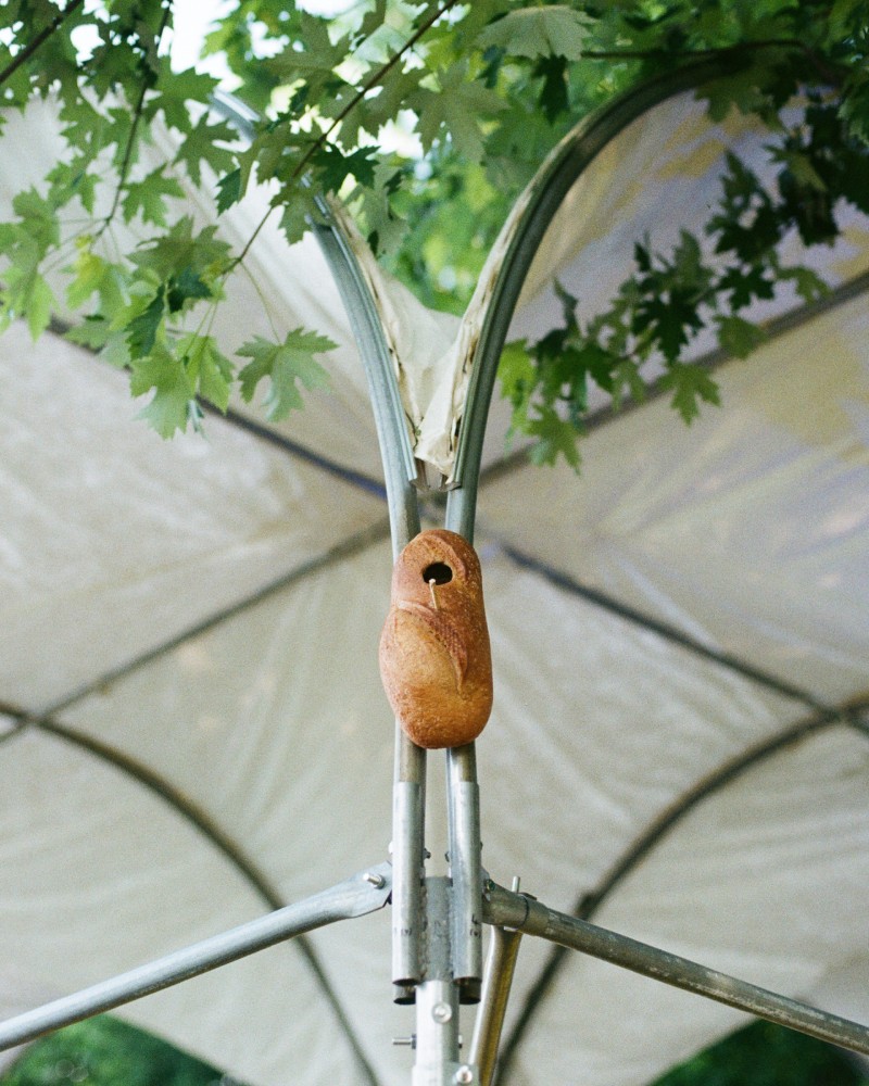 250605-08_foodculturedays_bs_10_low.jpg