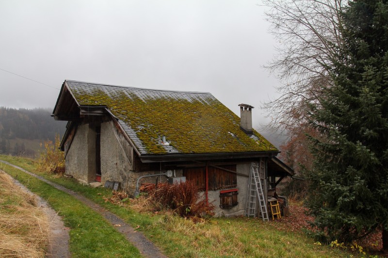 img_5219_web.jpg